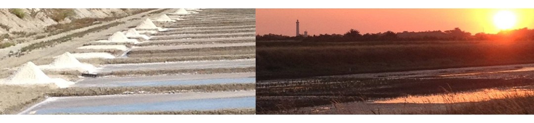 Sel de l’Île de Ré