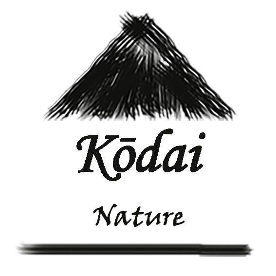 KodaiNature