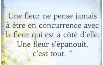 Citation